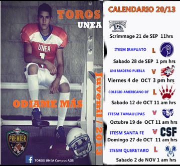 Calendario Toros UNEA Juvenil-C 2013